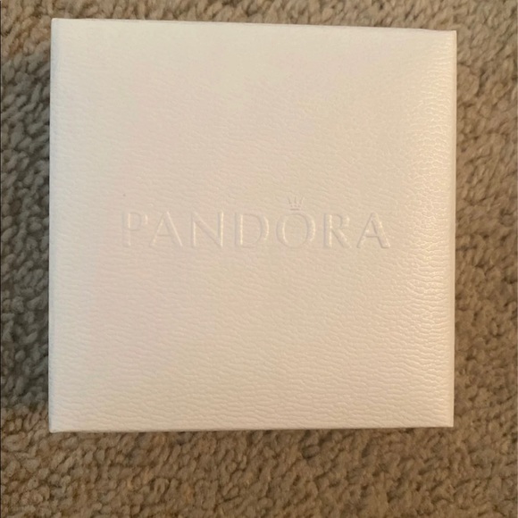 Pandora Anklet - Picture 4 of 4